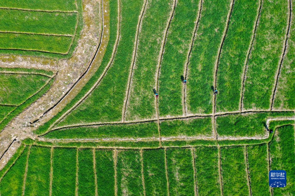 1128459074_16469337597091n.jpg 1128459074_16469337597091n.jpg